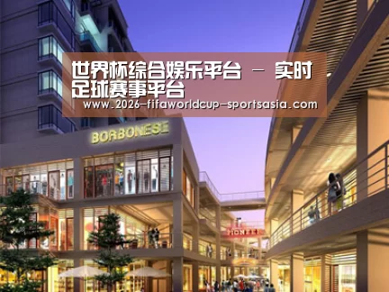 案例展示一(图1)