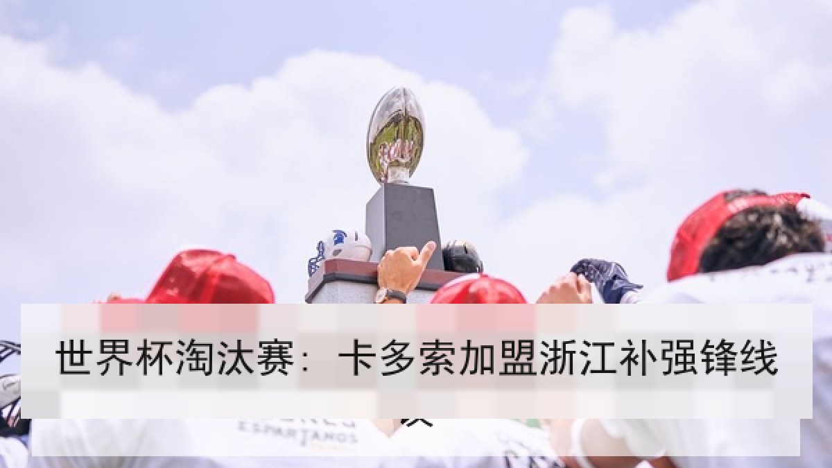 世界杯淘汰赛: 卡多索加盟浙江补强锋线