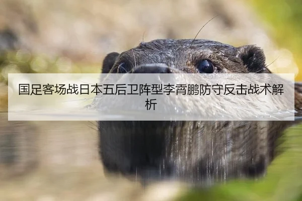 国足客场战日本五后卫阵型李霄鹏防守反击战术解析