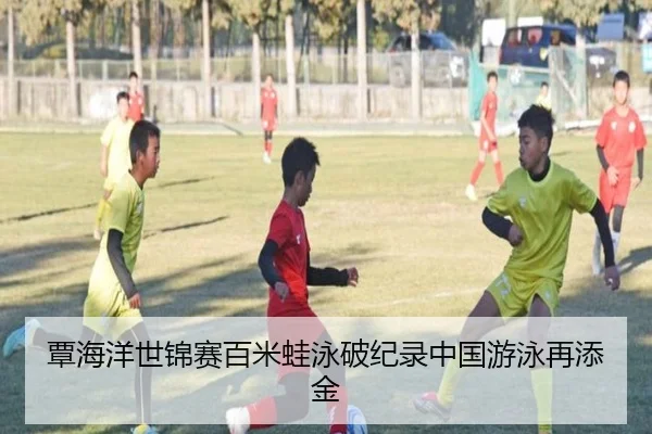 覃海洋世锦赛百米蛙泳破纪录中国游泳再添金
