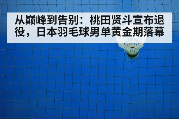 badminton shuttlecock net closeup