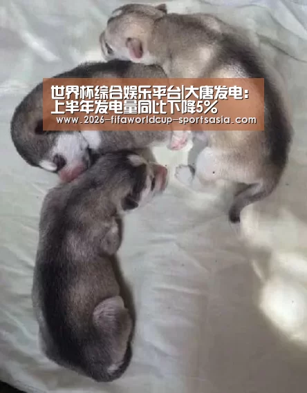 世界杯综合娱乐平台
