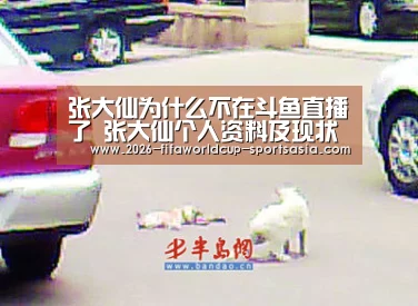 张大仙为什么不在斗鱼直播了 张大仙个人资料及现状大公开| 世界杯APP下载(图2) 世界杯直播