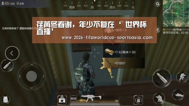  世界杯直播