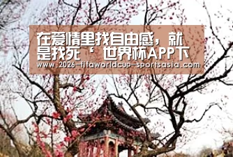  世界杯直播