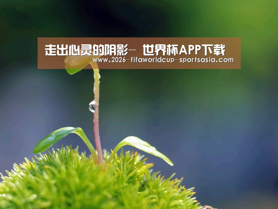  世界杯APP下载